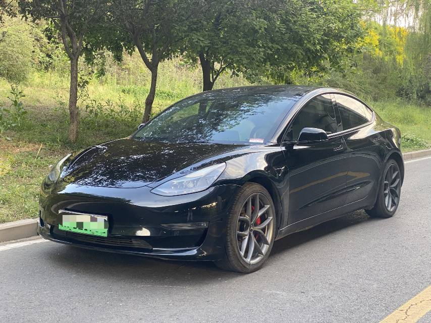 Tesla Model 3 2021 Tesla Model 3 2021 car image