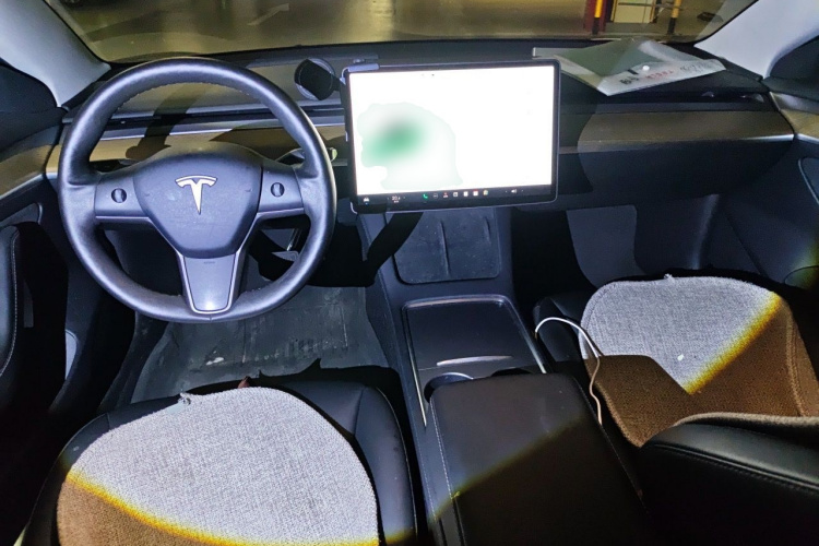 Tesla Model 3 2021 car image #12