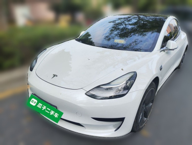 Tesla Model 3 2020 immagine di auto 