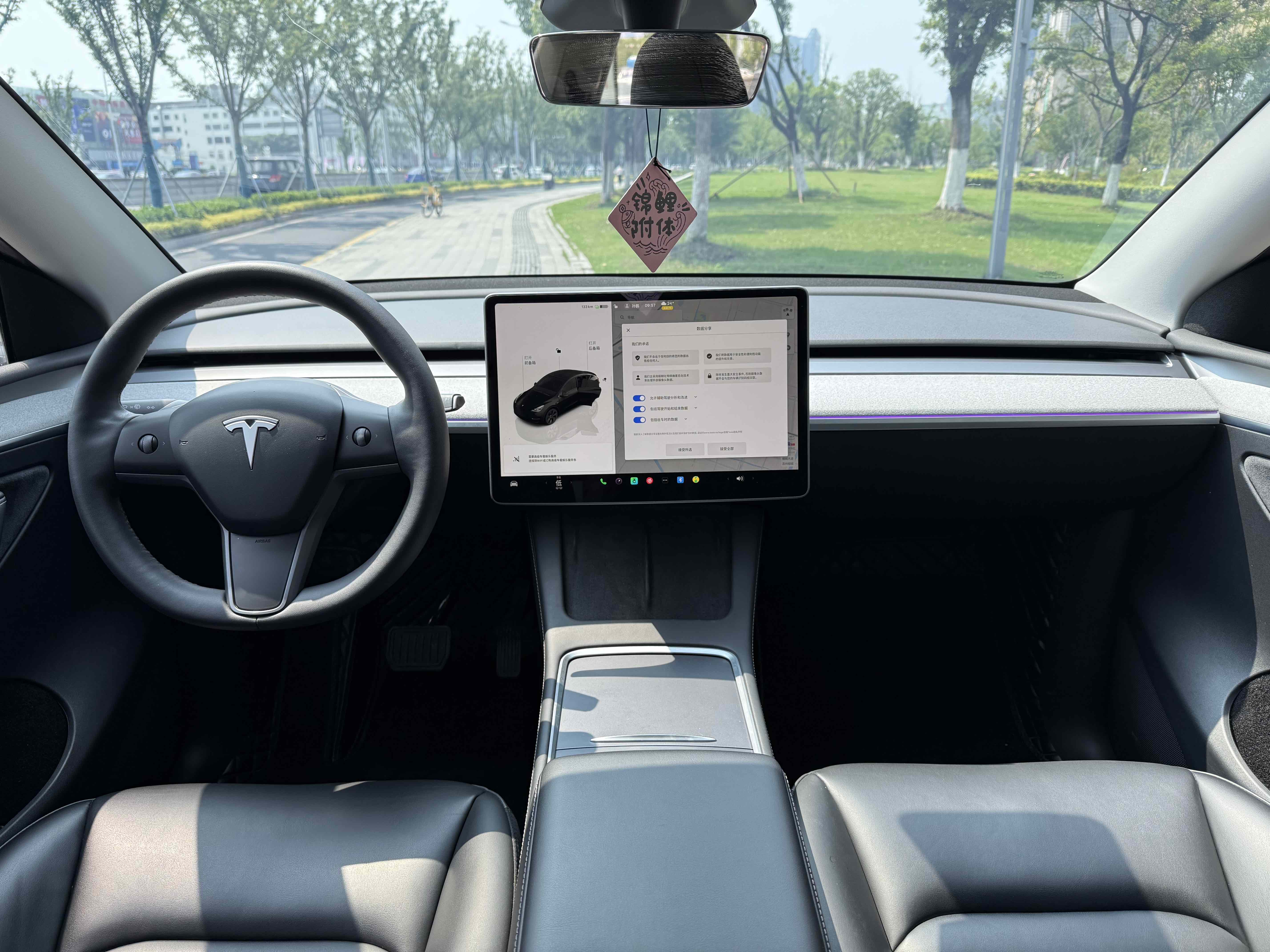 Tesla Model Y 2024 #10 Tesla Model Y 2024 car image #10