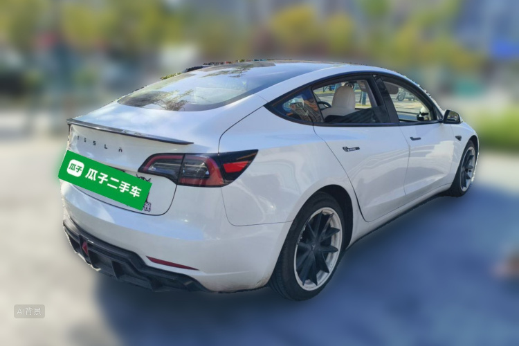 Tesla Model 3 2022 immagine di auto #7