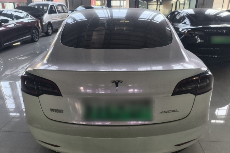 Tesla Model 3 2020 #7 Tesla Model 3 2020 car image #7