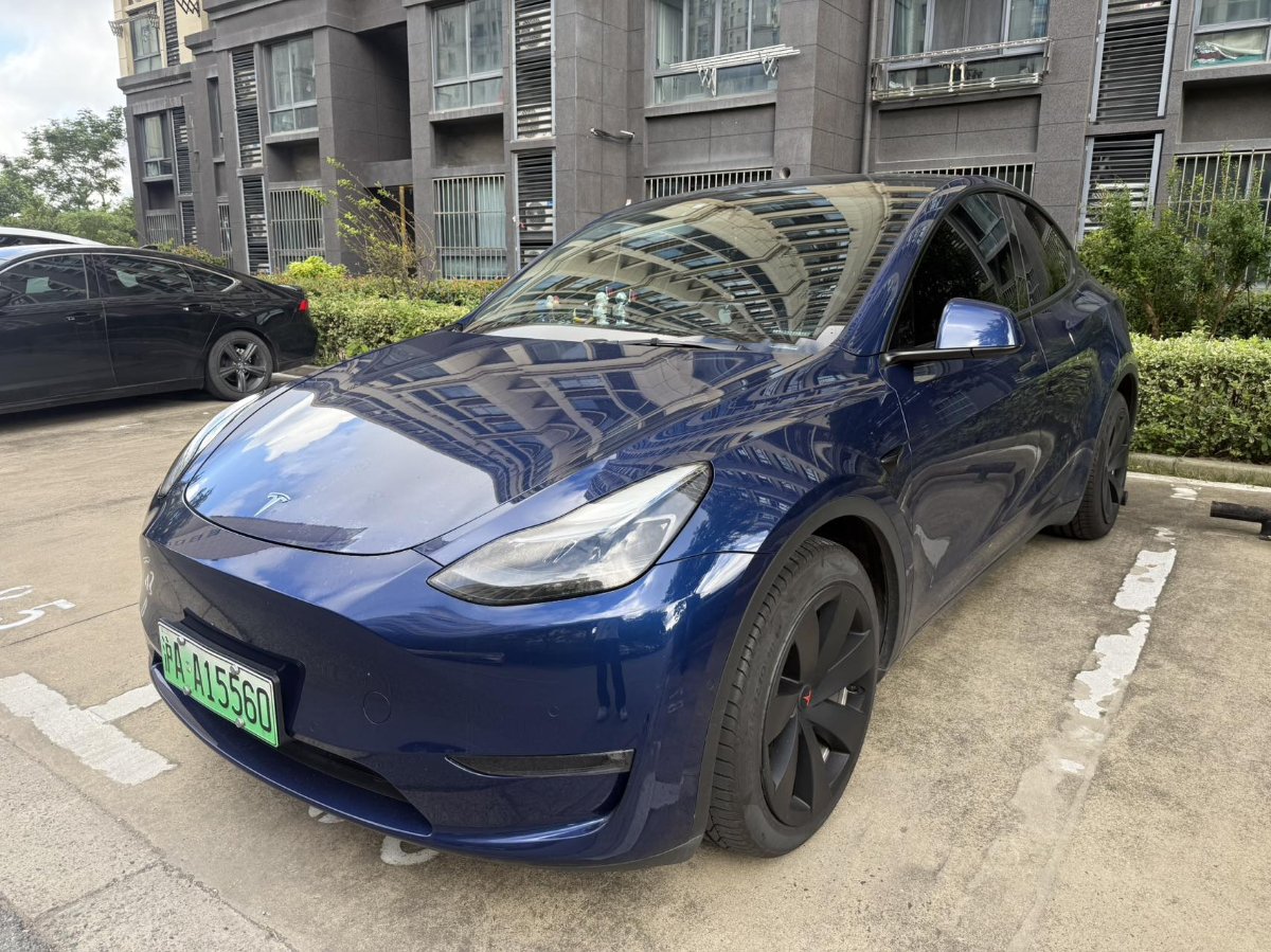 Tesla Model Y 2021 Tesla Model Y 2021 car image