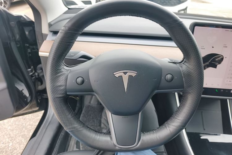 Tesla Model 3 2020 immagine di auto #11