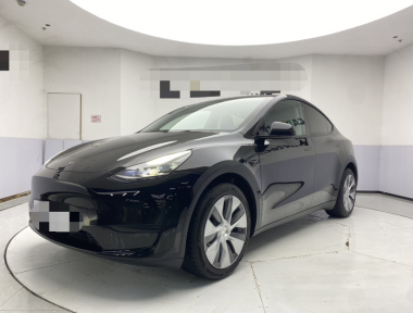 Tesla Model Y 2022 car image 