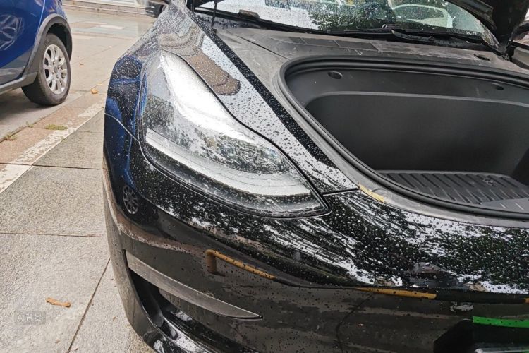 Tesla Model 3 2021 immagine di auto #8