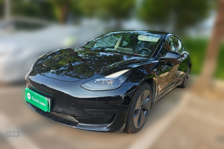 Tesla Model 3 2022 immagine di auto #2