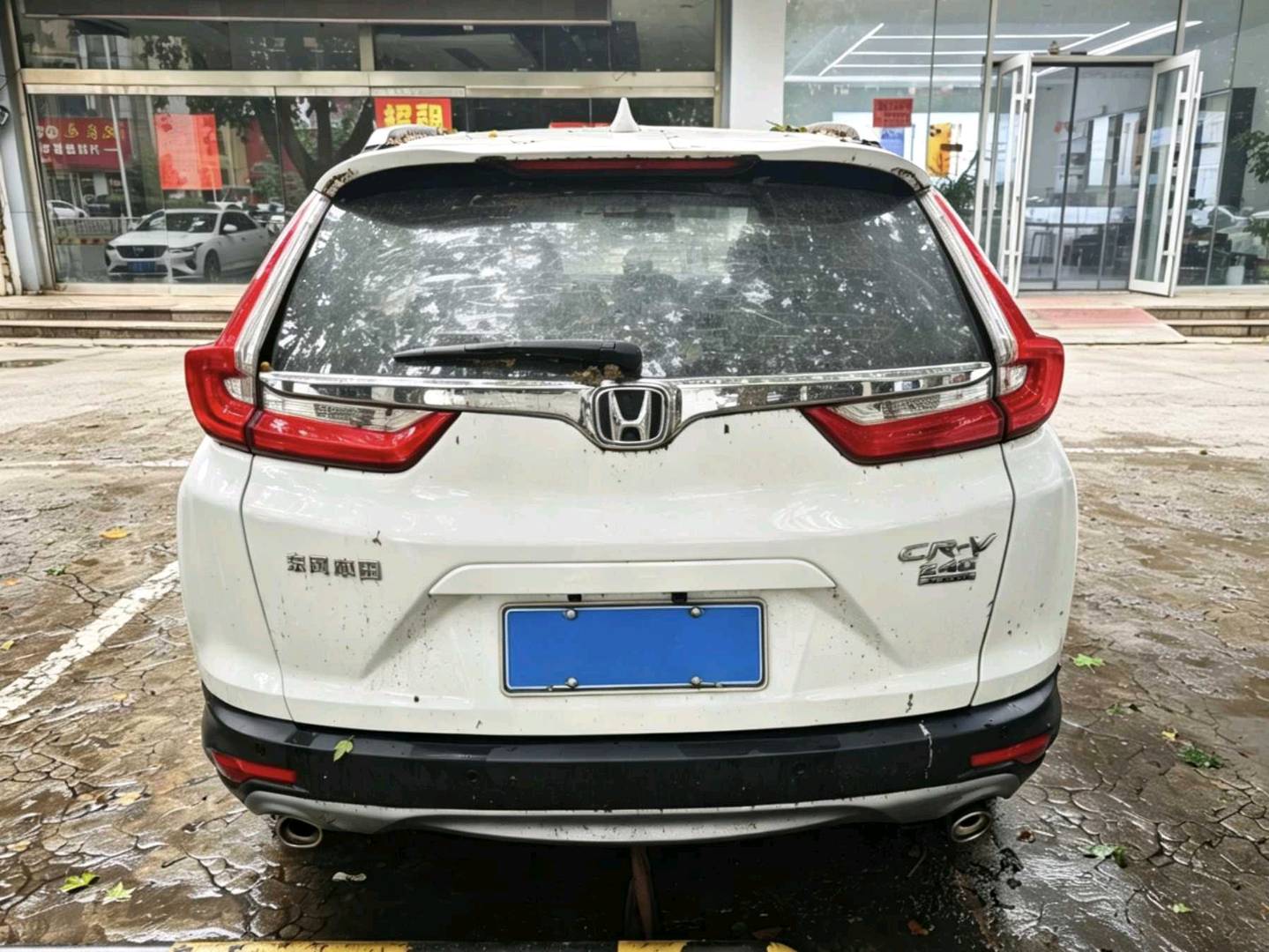 Honda CR-V 2019 car image #6