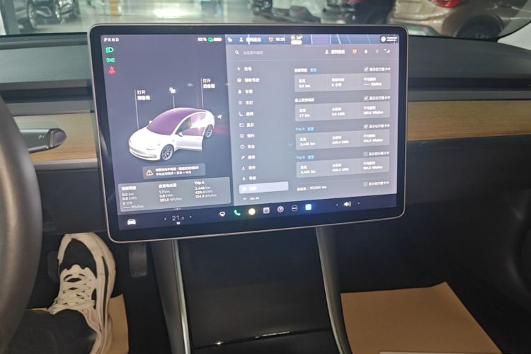 Tesla Model 3 2020 #13 Tesla Model 3 2020 car image #13