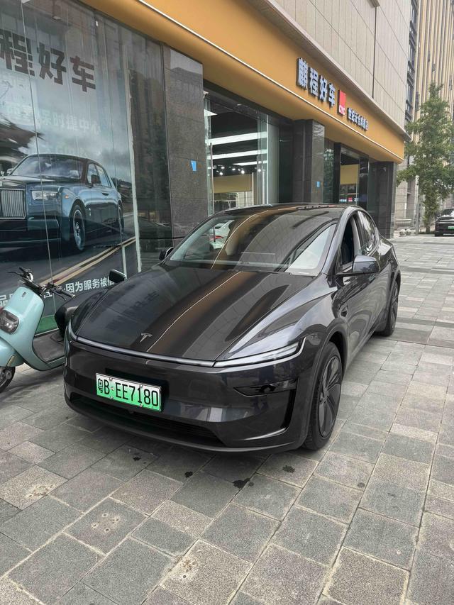 Tesla Model Y 2025 immagine di auto #10