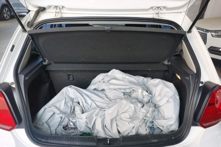 Volkswagen Polo 2017 car image #19