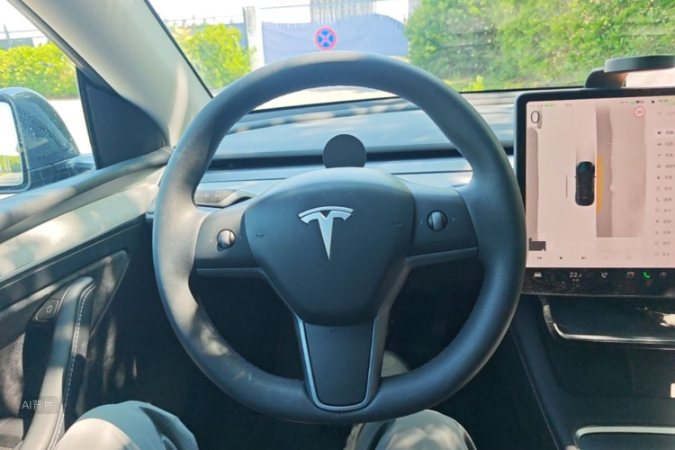 Tesla Model Y 2024 car image #12