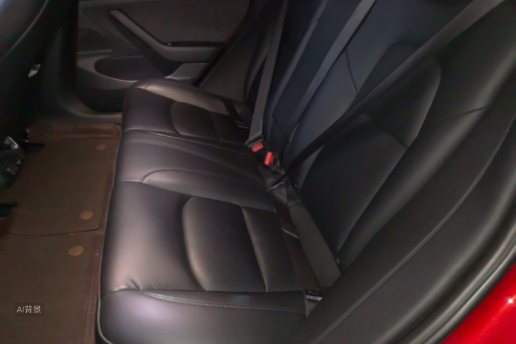 Tesla Model 3 2020 car image #19