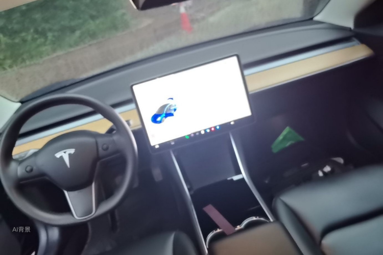 Tesla Model 3 2020 car image #11