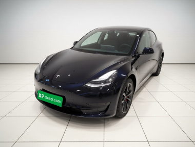 Tesla Model 3 2021 Tesla Model 3 2021 car image