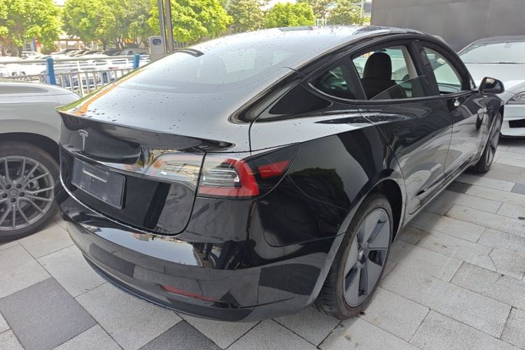 Tesla Model 3 2021 #7 Tesla Model 3 2021 car image #7