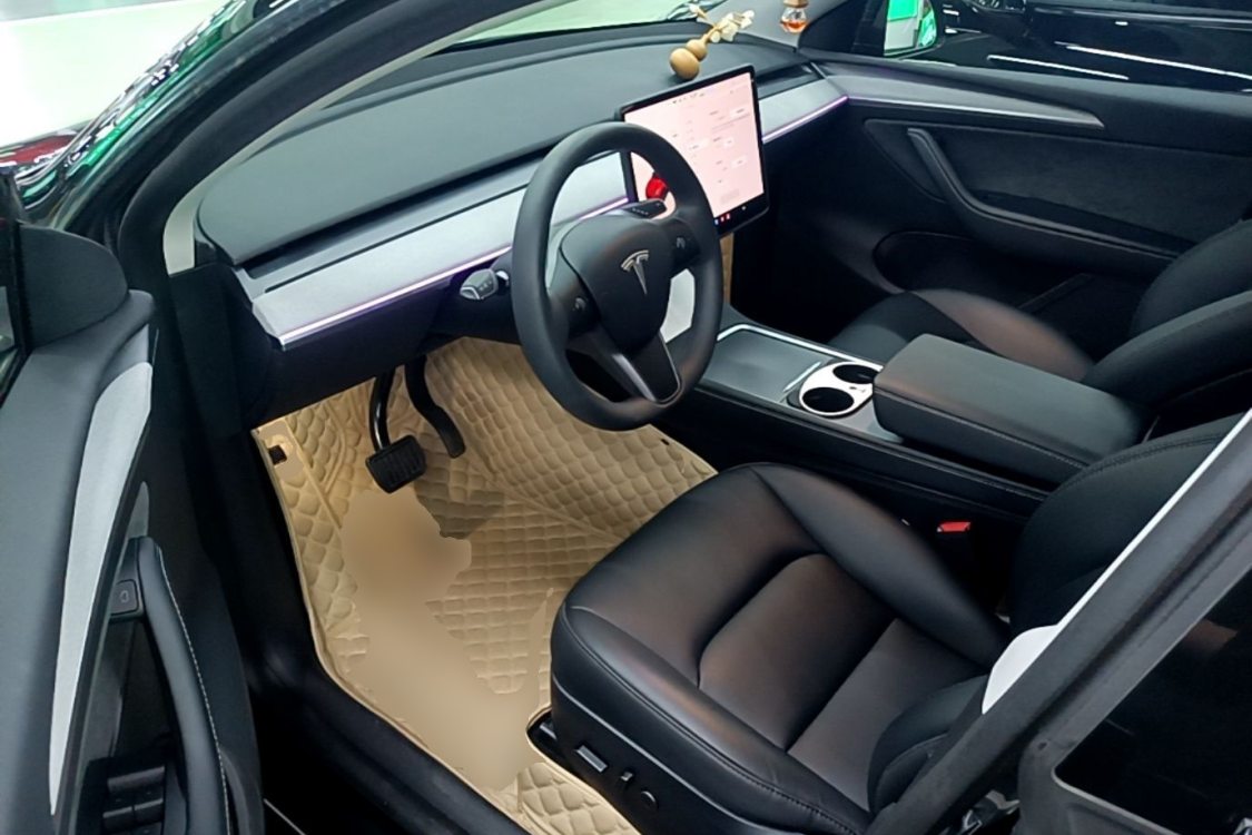 Tesla Model Y 2024 car image #12