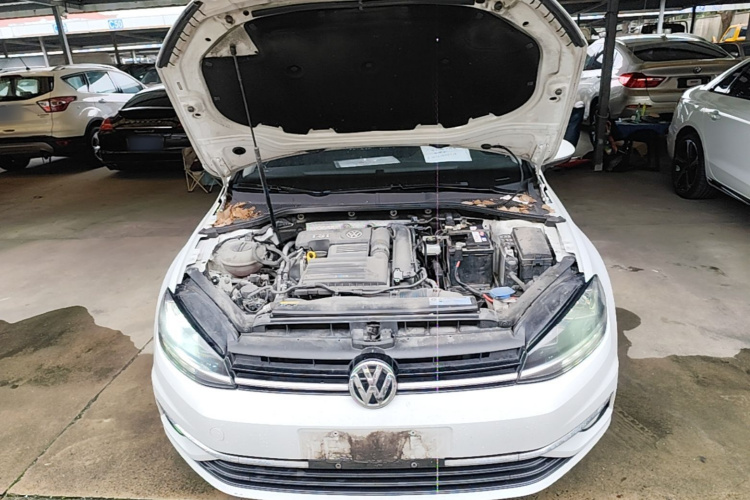 Volkswagen Golf 2020 car image #20