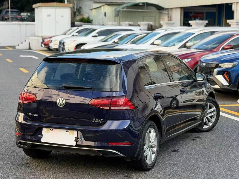 Volkswagen Golf 2018 car image #9