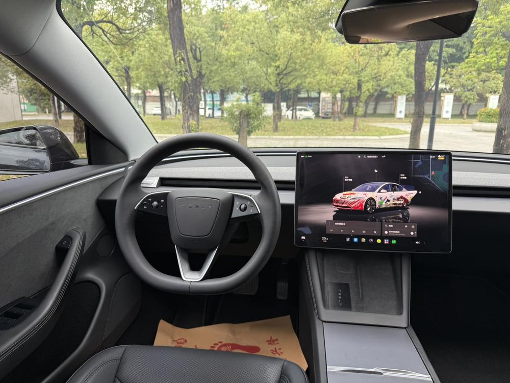 Tesla Model 3 2024 immagine di auto #12