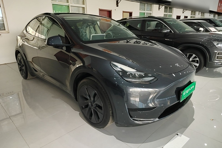 Tesla Model Y 2025 car image #4