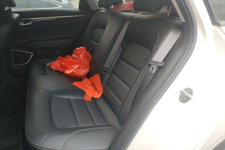 GEELY Emgrand GL 2021 صورة سيارة #10