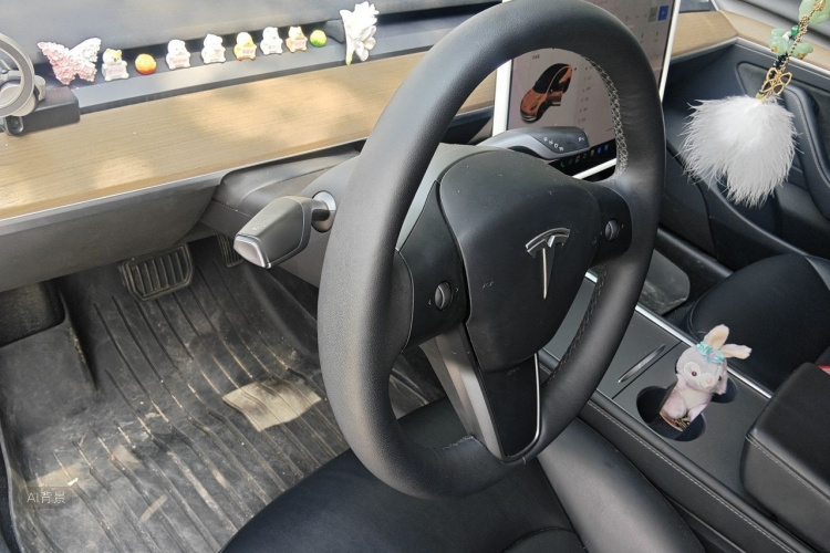 Tesla Model 3 2021 car image #12