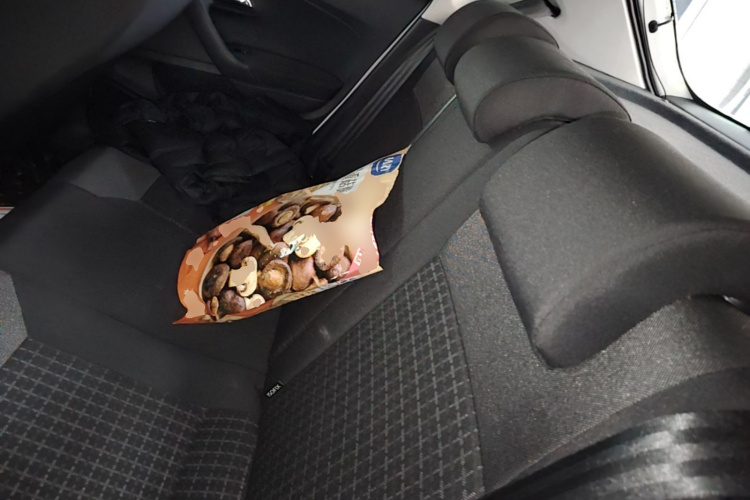 Volkswagen Polo 2018 #13 Volkswagen Polo 2018 car image #13