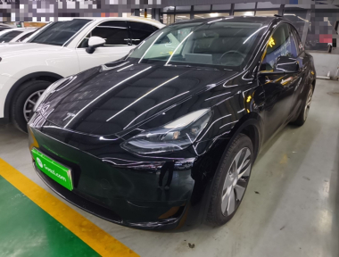 Tesla Model Y 2023 Tesla Model Y 2023 car image