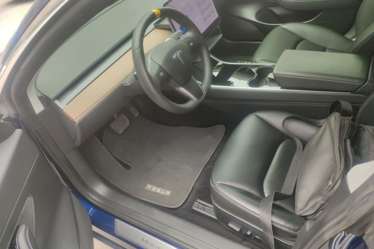 Tesla Model 3 2020 immagine di auto #19