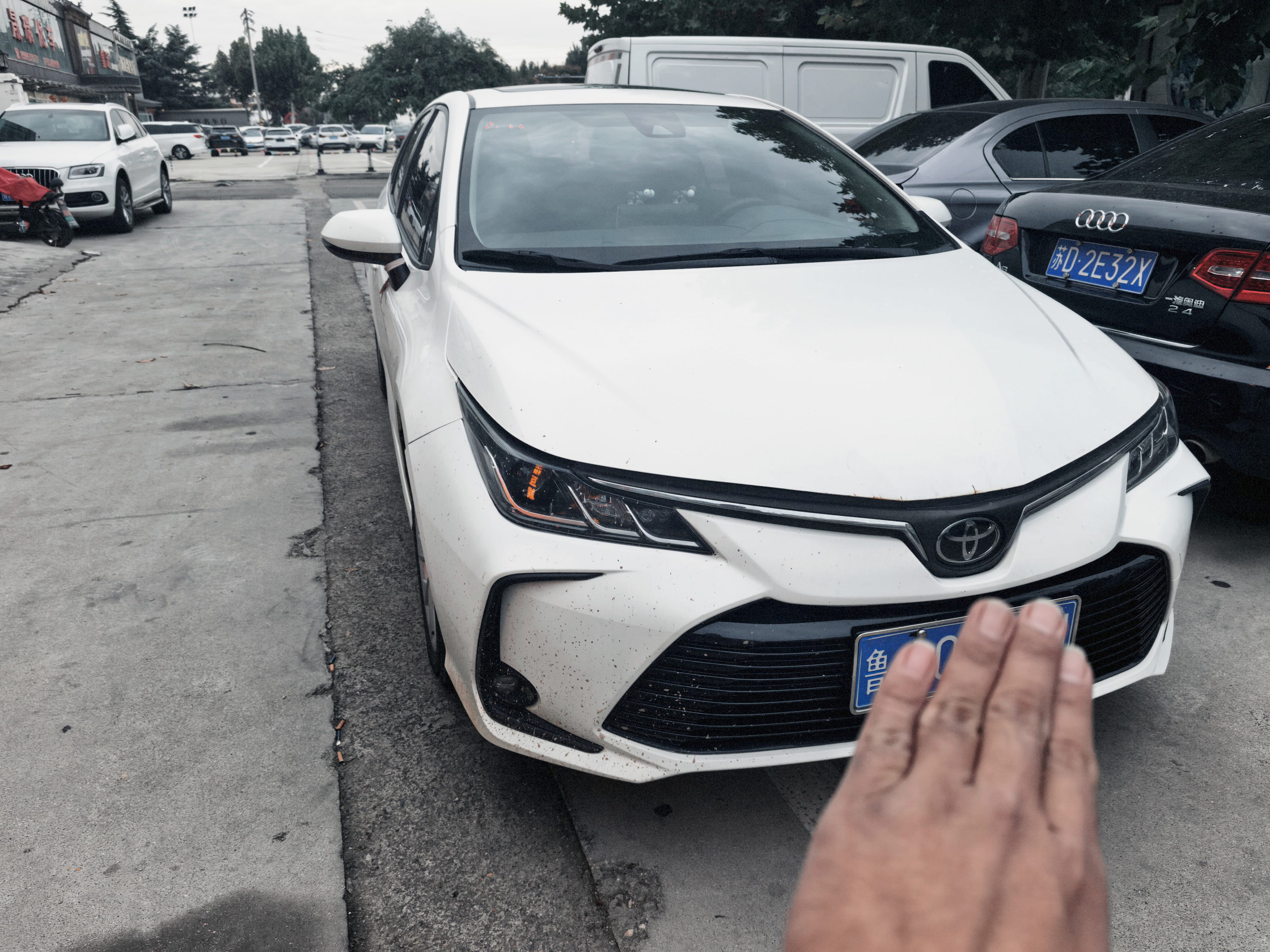Toyota Corolla 2021 car image 