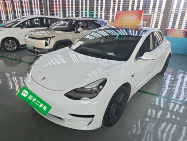 Tesla Model 3 2020 Tesla Model 3 2020 car image