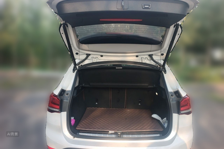 BMW X1 2021 car image #21