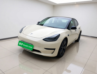 Tesla Model 3 2022 car image 