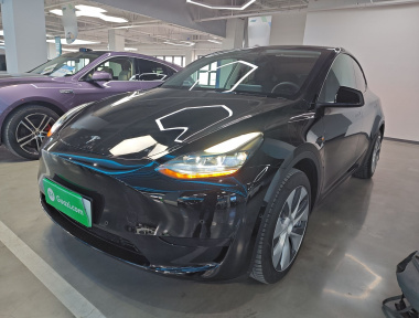 Tesla Model Y 2023 immagine di auto 