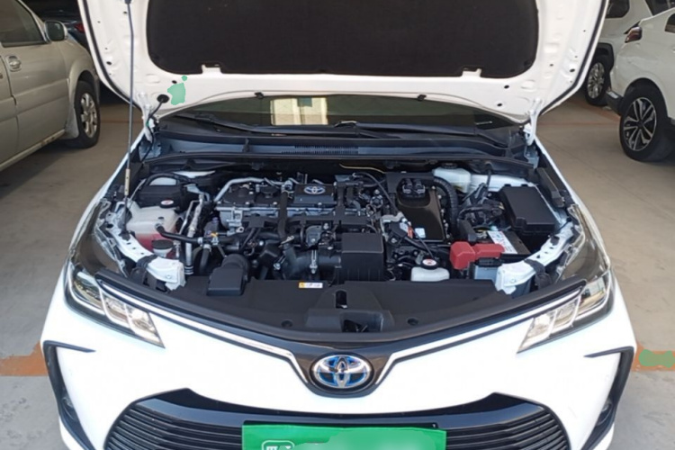 Toyota Corolla 2022 #20 Toyota Corolla 2022 car image #20