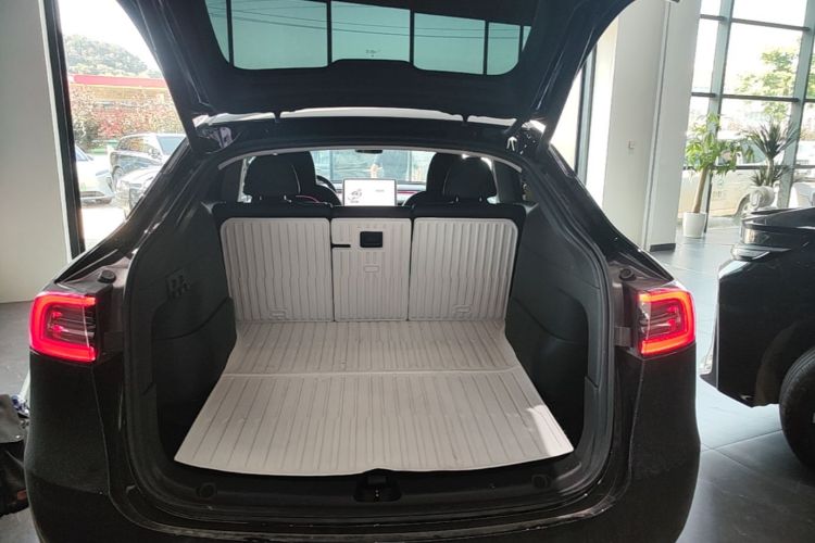 Tesla Model Y 2024 car image #19