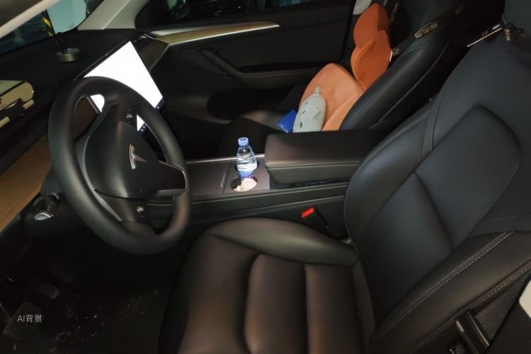 Tesla Model Y 2021 car image #17