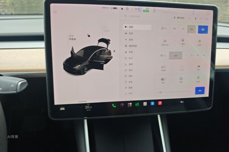 Tesla Model 3 2020 car image #13