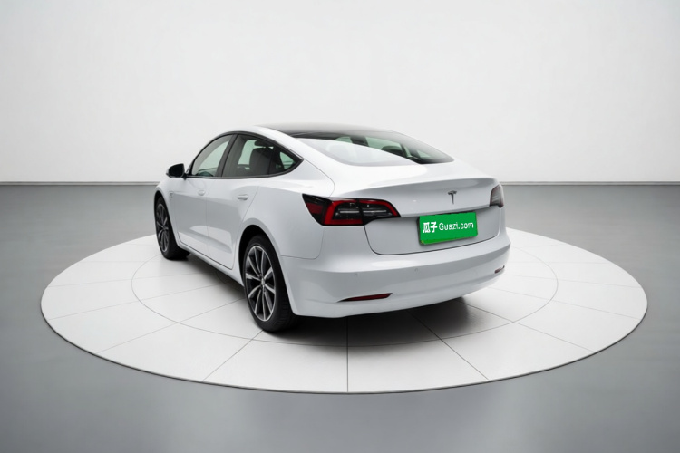 Tesla Model 3 2021 #6 Tesla Model 3 2021 car image #6