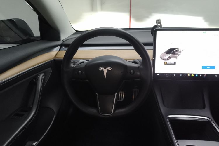 Tesla Model 3 2021 car image #11