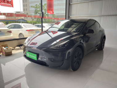 Tesla Model Y 2024 car image 