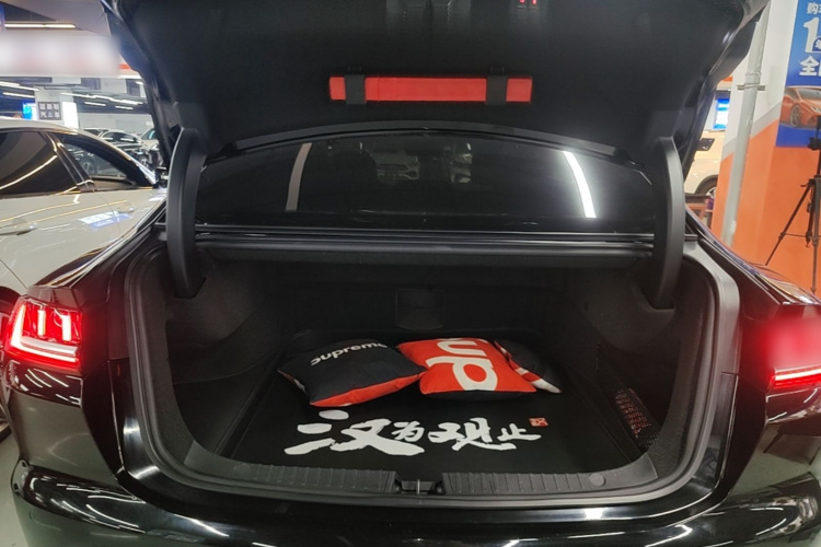 BYD Han 2021 #19 BYD Han 2021 immagine di auto #19