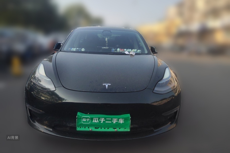 Tesla Model 3 2021 #3 Tesla Model 3 2021 car image #3