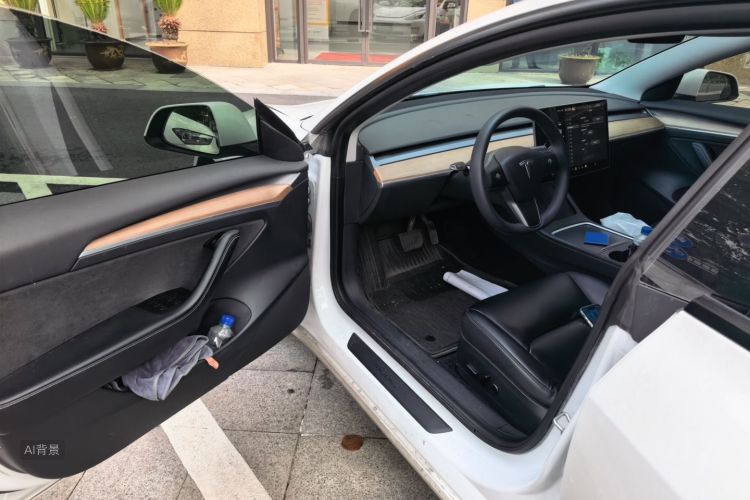 Tesla Model 3 2021 car image #18