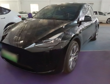 Tesla Model Y 2022 Tesla Model Y 2022 car image
