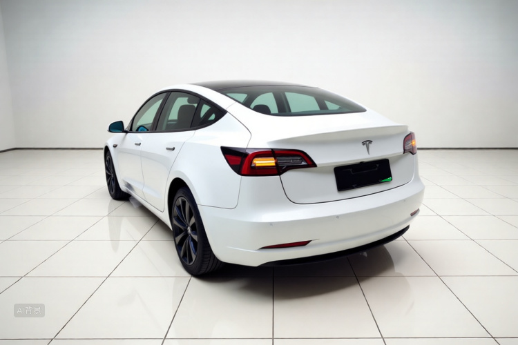 Tesla Model 3 2021 #5 Tesla Model 3 2021 car image #5