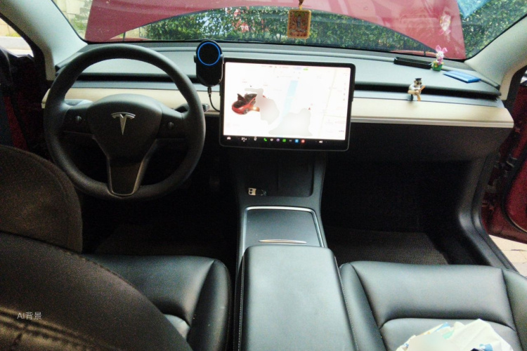 Tesla Model 3 2021 immagine di auto #11