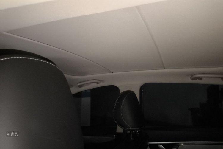 GEELY Emgrand GS 2020 car image #20
