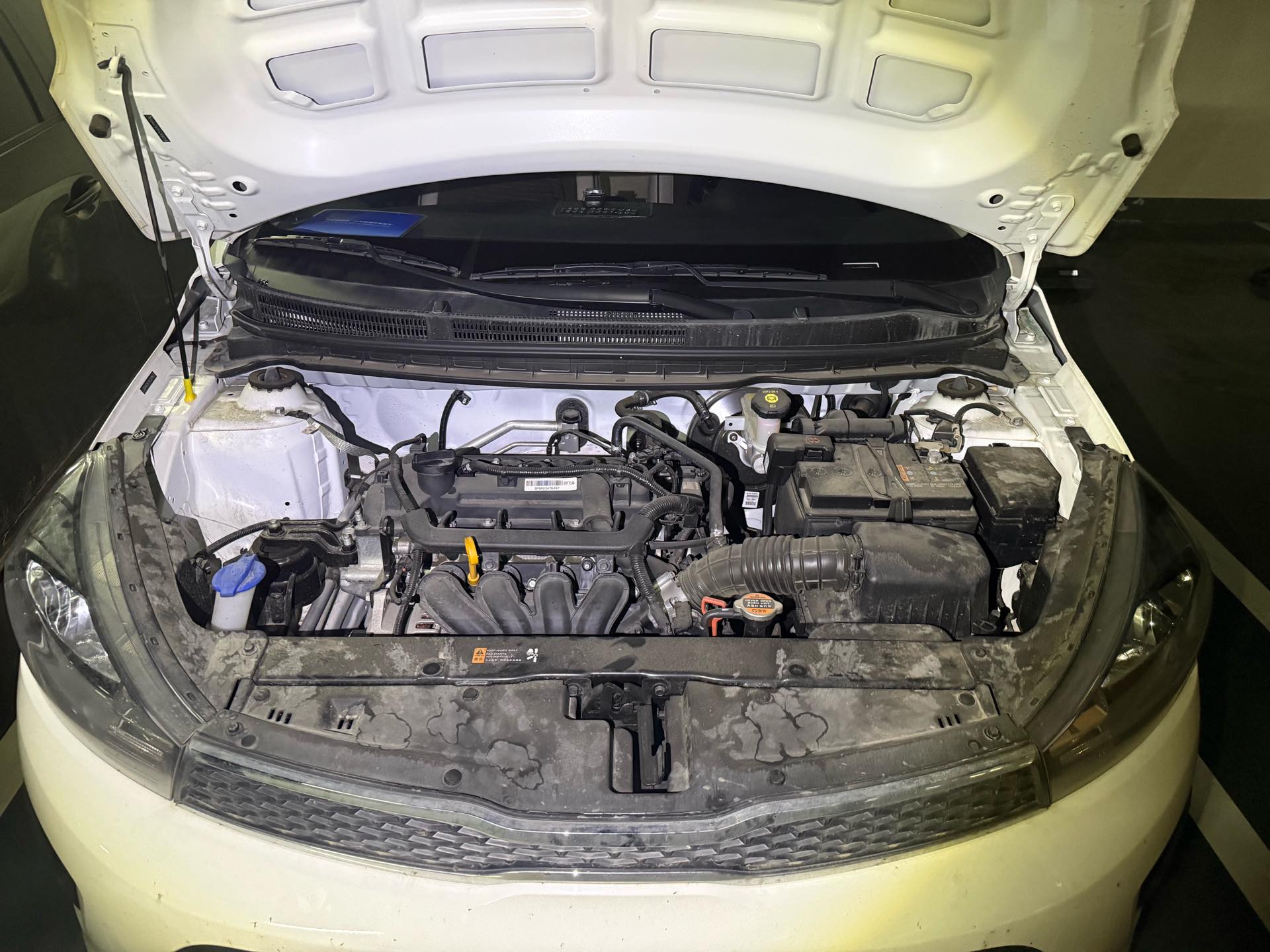 Kia Pegas 2023 image de voiture #4